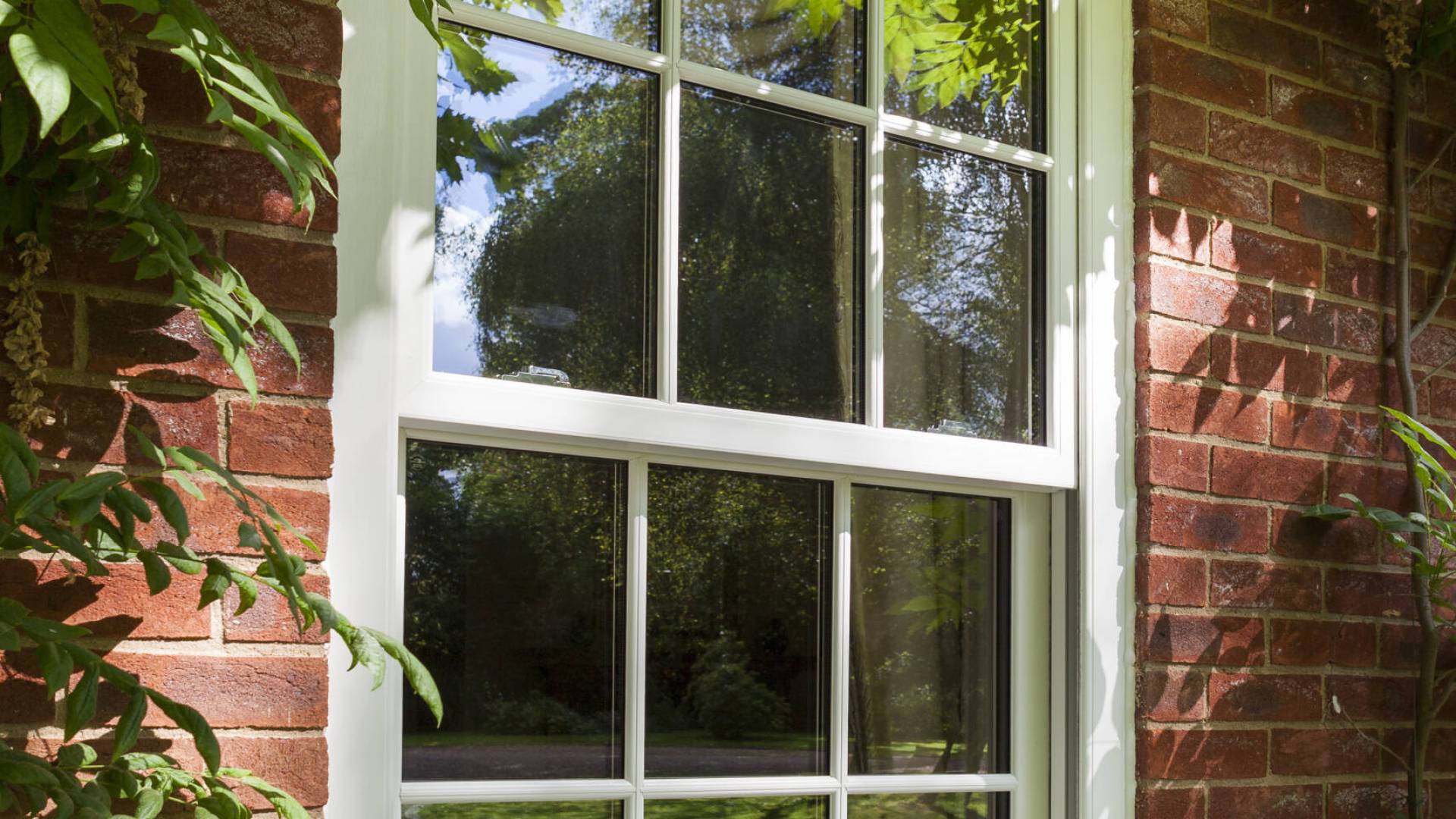 LegacyWindow11