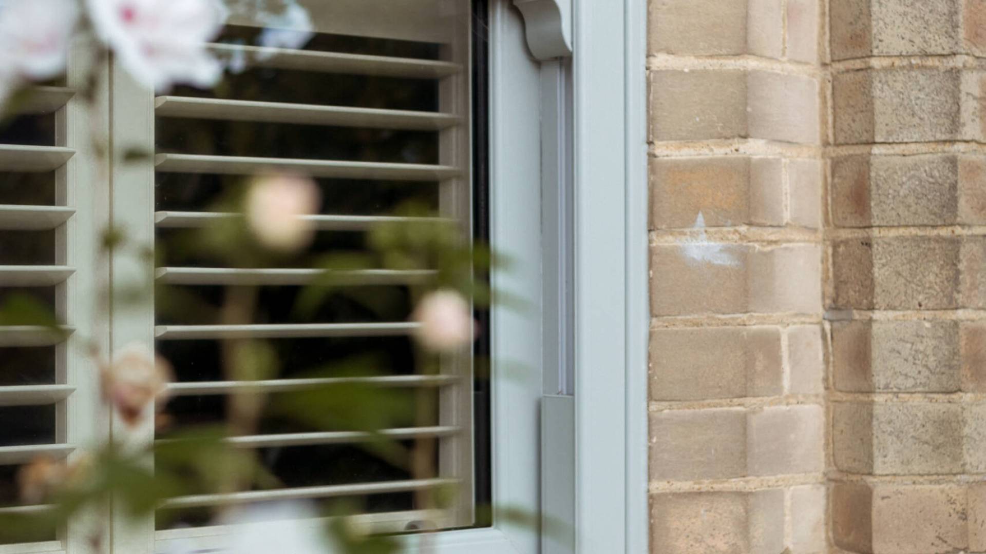 LegacyWindow3